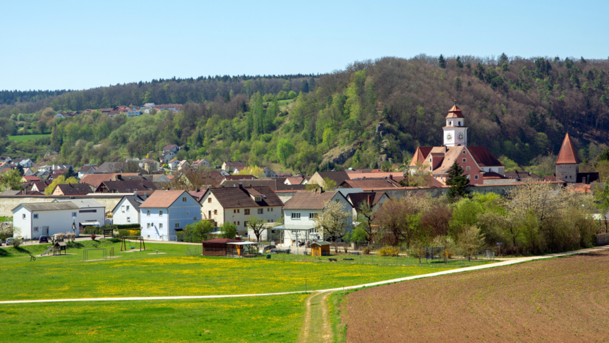 Abbildung Blumenwiese mit Häusern im Hintergrund 