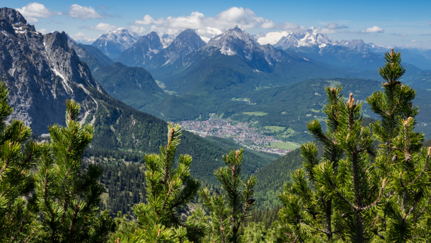 Abbildung Berge mit Bäumen